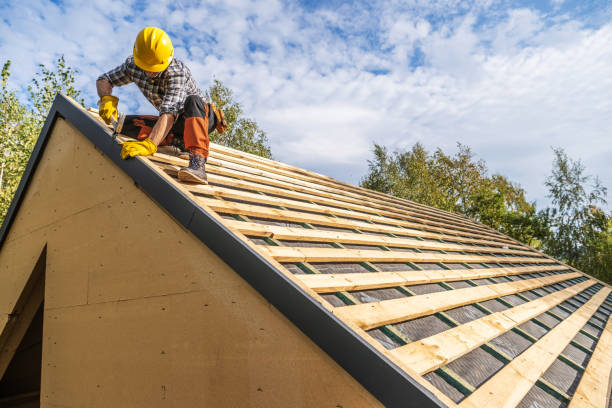 Best Roof Gutter Cleaning  in St John, IN