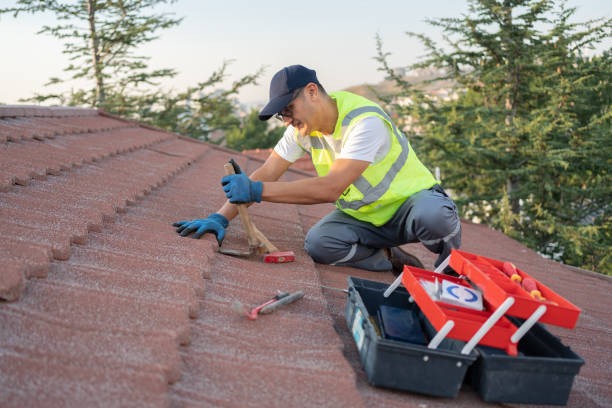 Best Metal Roofing Contractor  in St John, IN